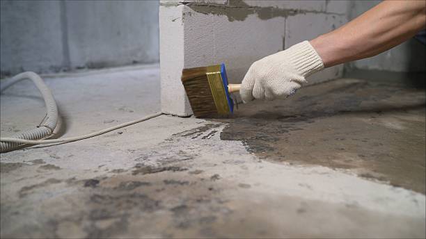 SJ Waterproofing Pros Interior Drainage System coverage map for Langston, AL and surrounding area